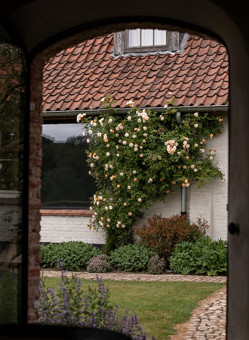 Tuinontwerp & -architectuur